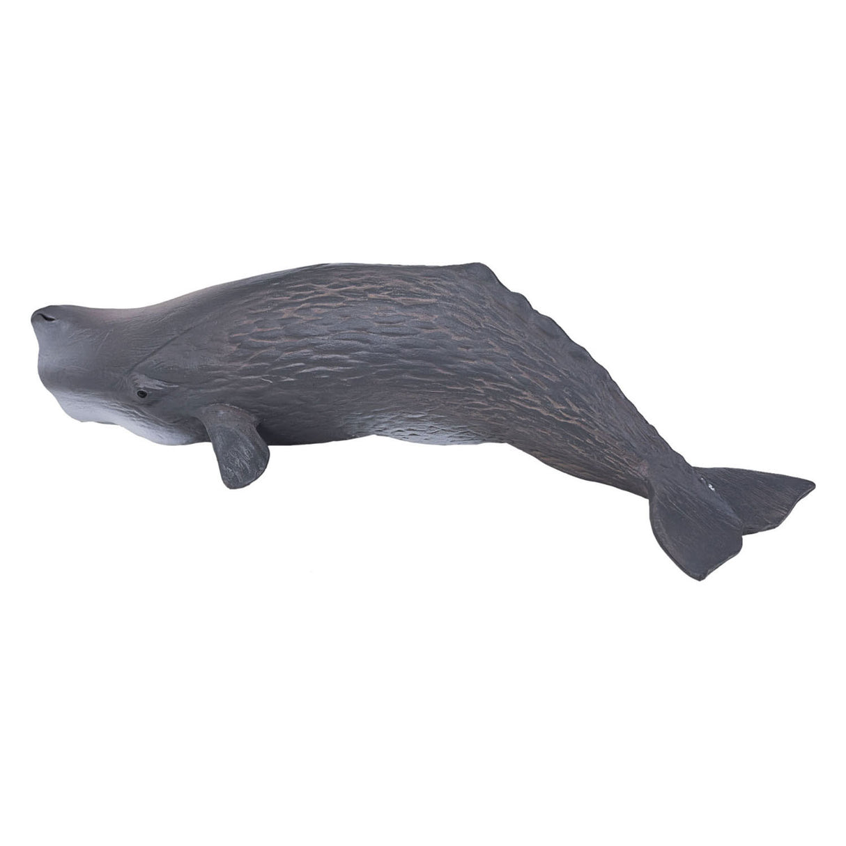 Mojo Sealife Potfish 387210