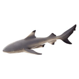 „Mojo Sealife Black Puntrifhaai 387357“