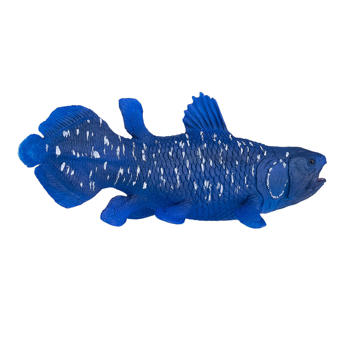 Mojo Sealufe Coelacanth 381050