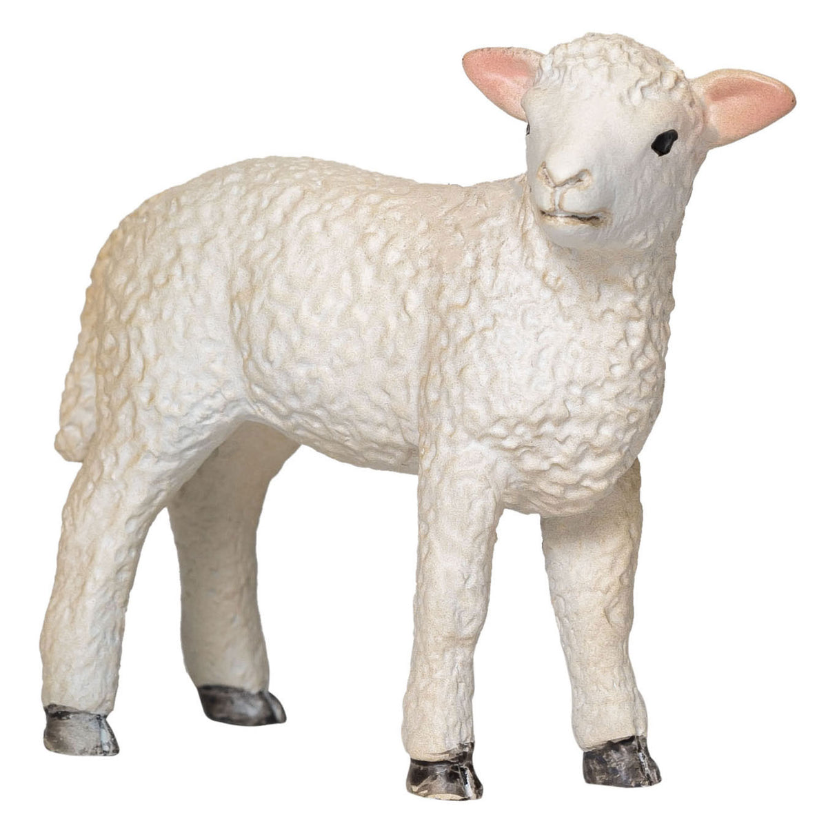 Mojo tierras de cultivo romney cordero de pie - 381065