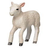 Mojo Akerland Romney Lam Renenend - 3810666