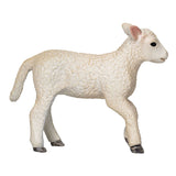 Mojo Akerland Romney Lam Renenend - 3810666