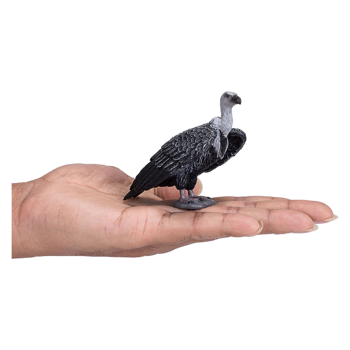 Mojo wildlife vale gier 387165