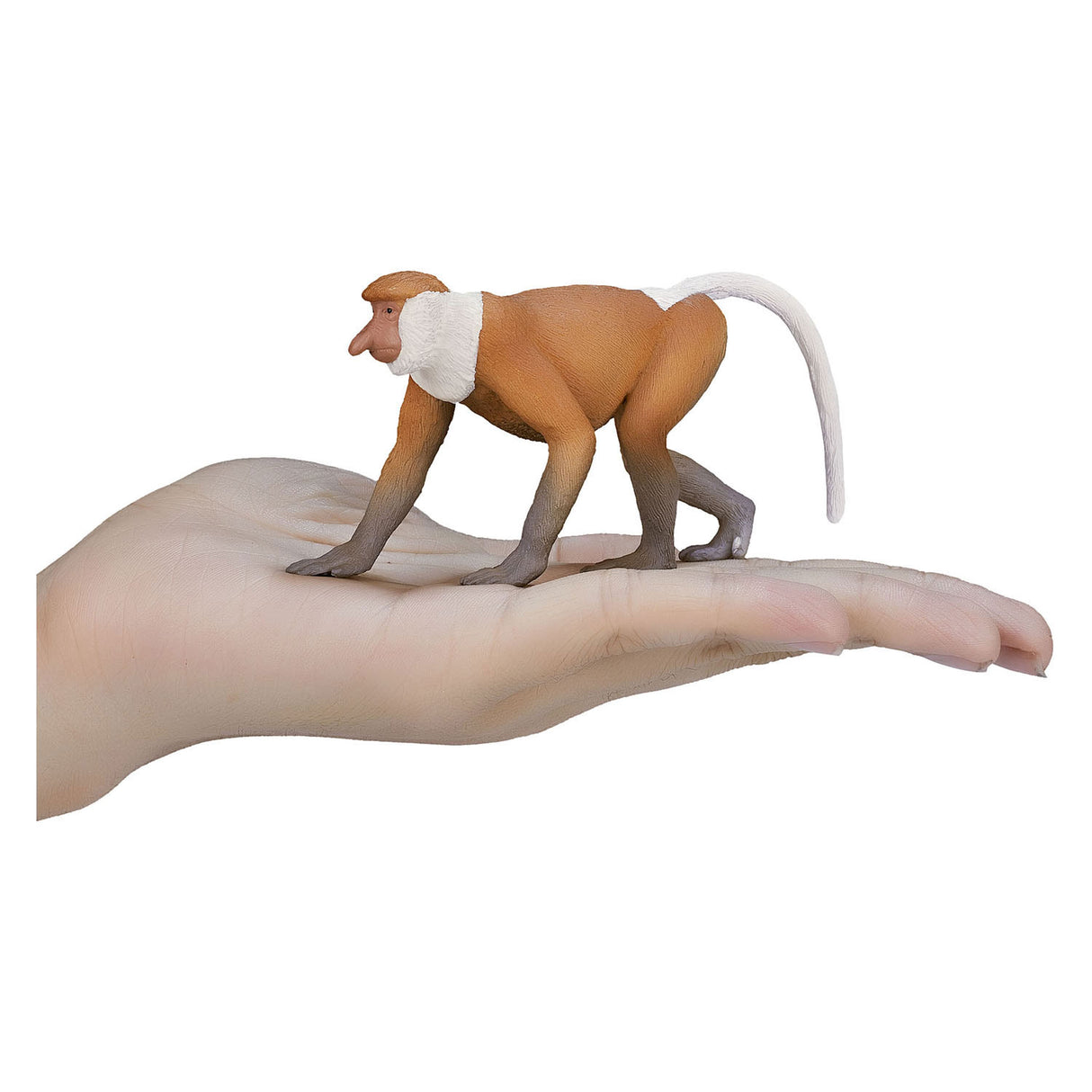 Mojo Wildlife Noseaap 387176