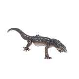 Mojo fiadhúlra perentie laghairt - 381061