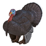 Mojo Ackerland männlicher Türkei - 387285