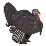 Mojo Ackerland männlicher Türkei - 387285