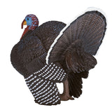 Mojo Ackerland männlicher Türkei - 387285