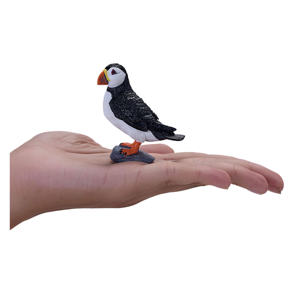 Mojo Seallife Atlantic Papegaaiduiger 381081