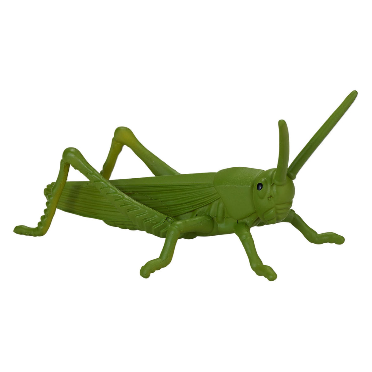Mojo Wildlife Mini Insects and Spiders, 12dlg. - 380058