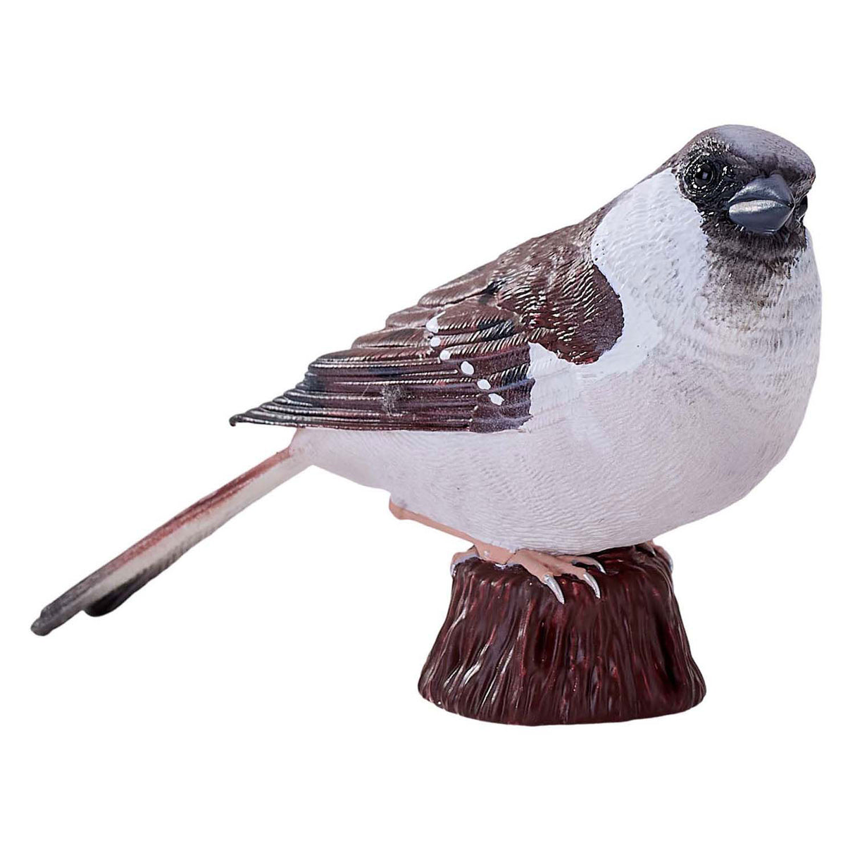 Mojo vrabec z poľnohospodárskej pôdy - 381114