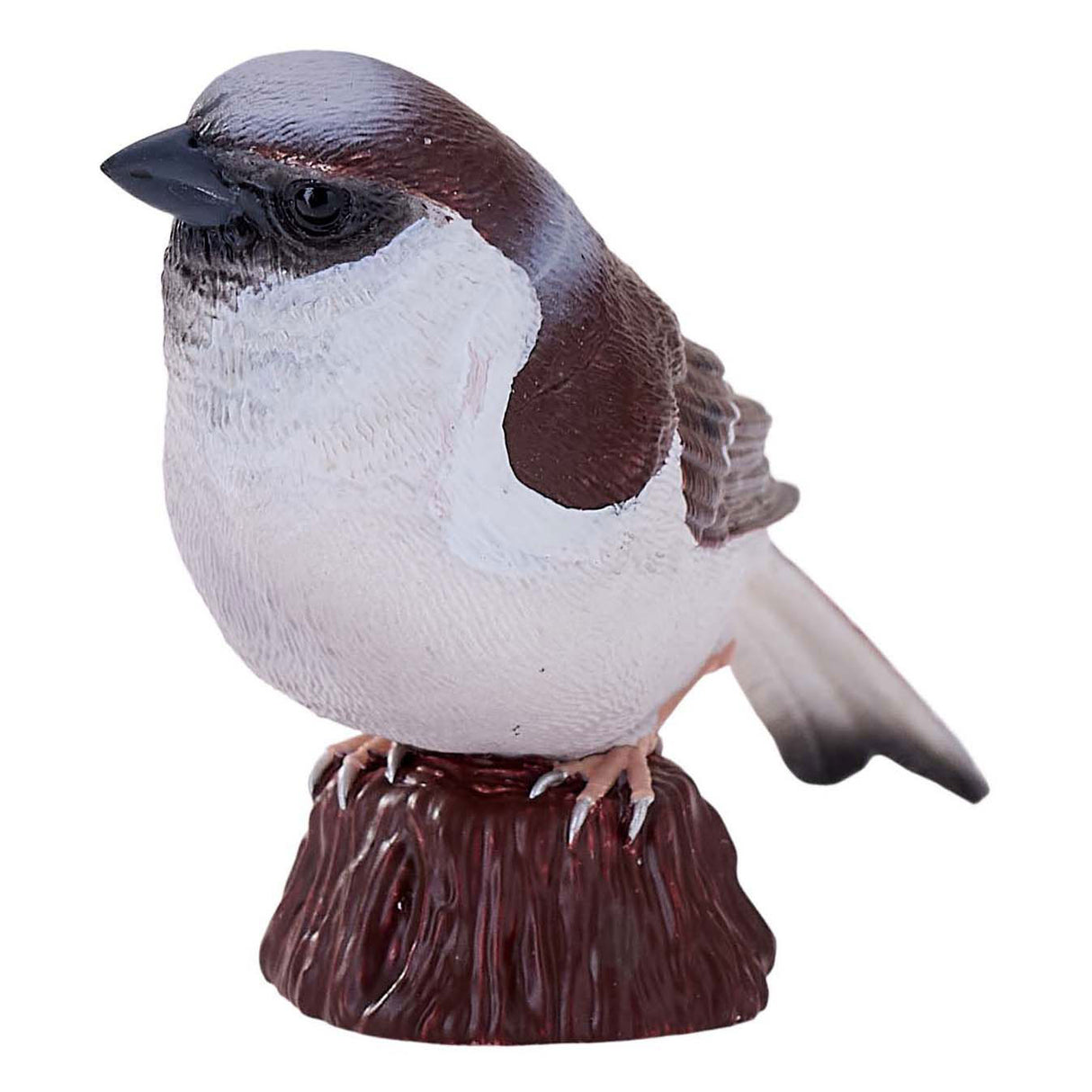 Mojo vrabec z poľnohospodárskej pôdy - 381114