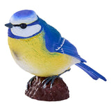 Sikorka modra Mojo - 381115