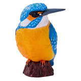 Mojo Ackerland Kingfisher - 381116