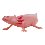 Mojo divji axolotl 381108