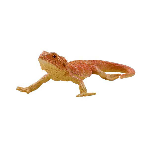 Mojo Wildlife Beardagaam - 381096