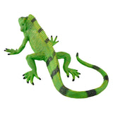 Dzika iguana Mojo - 381095