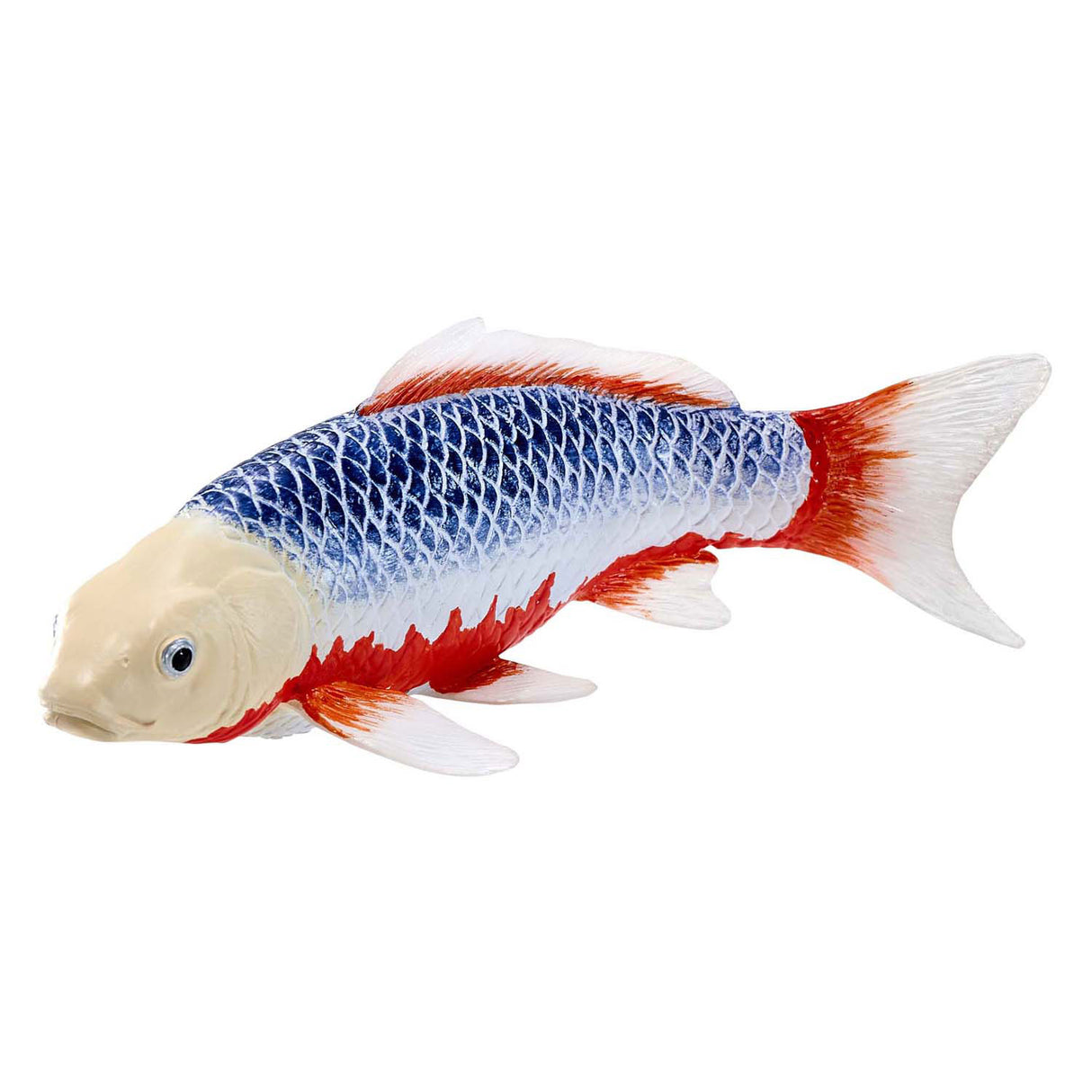 Mojo sealife koi carp - asagi koi - 381100
