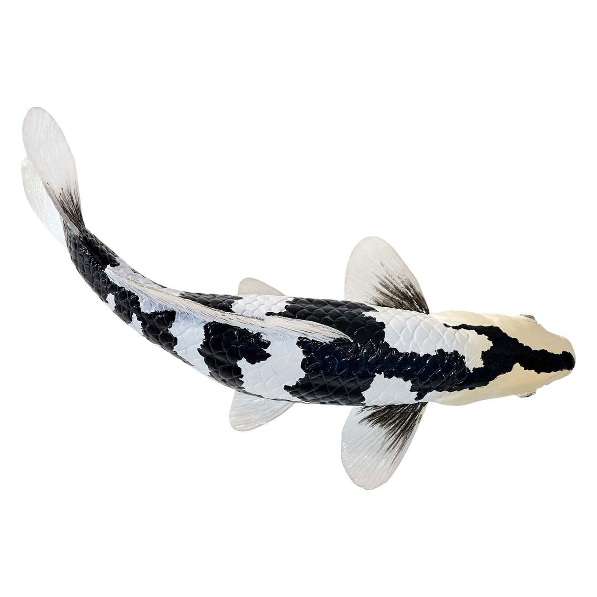 Carpa koi mojo sealife - shiro utsuri koi - 381102