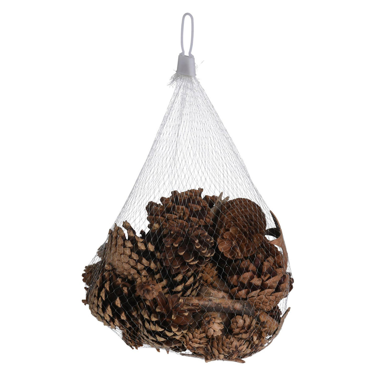 Pine cones with tree bark