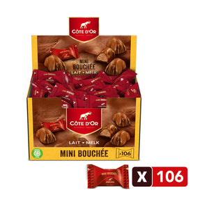 Cote d'or mini bouchee (106 pezzi)