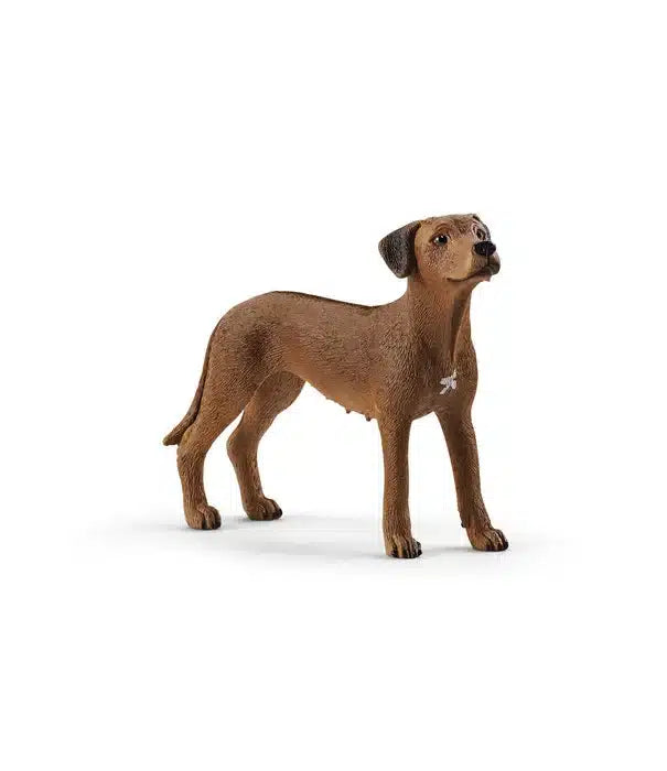 Schleich Farm World Rhodesian Ridgeback 13895