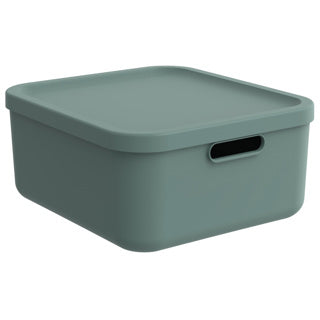 Rotho Decoration Storagebox Albula Light 20 L Mistletoe Green