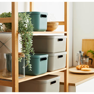 Rotho Decoration Storagebox Albula Light 20 L Mistletoe Green