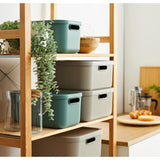 Rotho Decoration Storagebox Albula Light 20 L Mistletoe Green