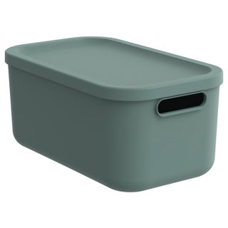 Rotho Decoration Storagebox Albula Light 12 L Mistletoe Green