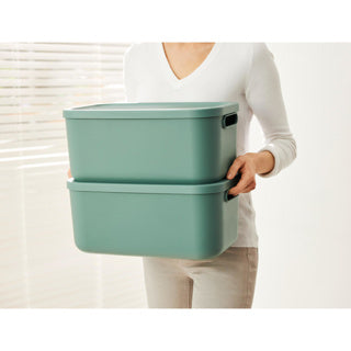 Rotho Decoration Storagebox Albula Light 12 L Mistletoe Green