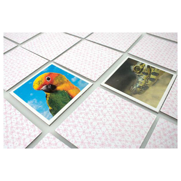 Taktika Baby Animals Memo