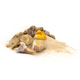 Изрязване на космически вкаменелости