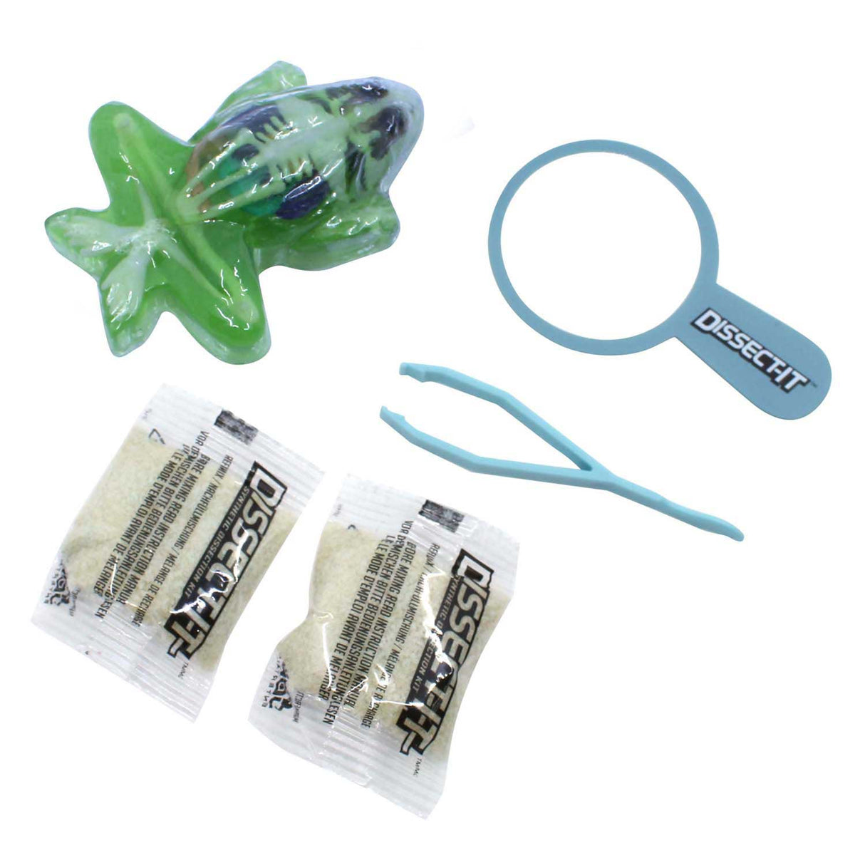 Dissect-it ontleed een kikker met vergrootglas