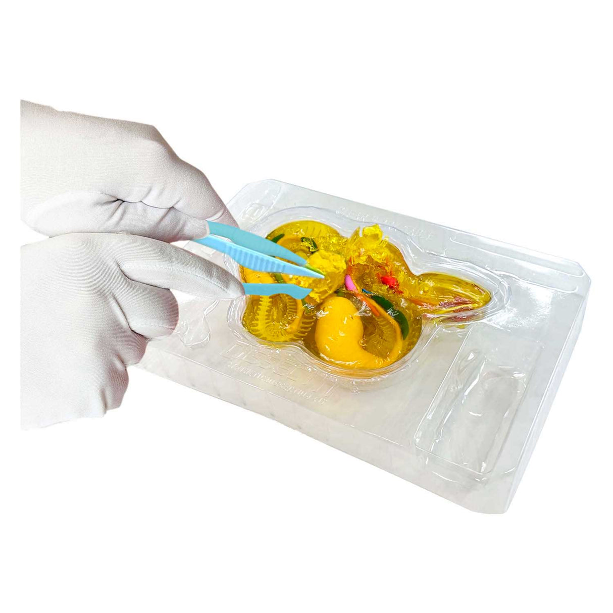 Dissect-it ontleed een ratelslang mega giftbox