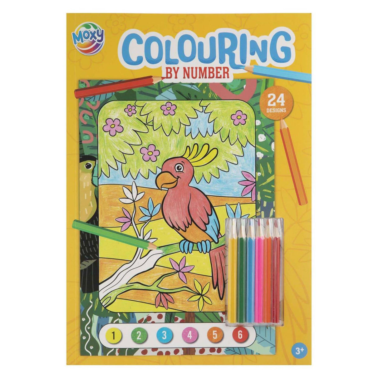 Gruppo creativo da colorare per numero con 6 matite colorate