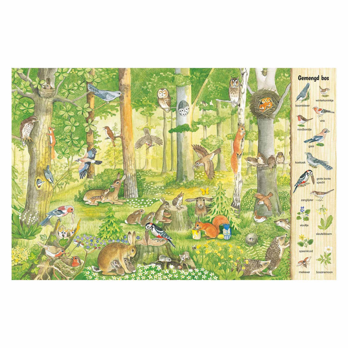 Deltas View and search book - In the forest