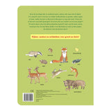 Delta's look and search book - in the forest