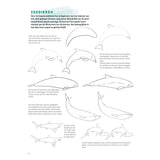 Learn to draw animals step by step