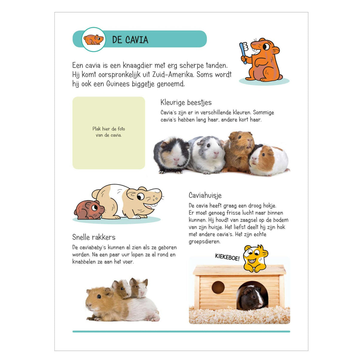 Sticker book - Animals in the house and garden