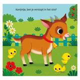 Deltas waar is het konijntje? flapjesboek