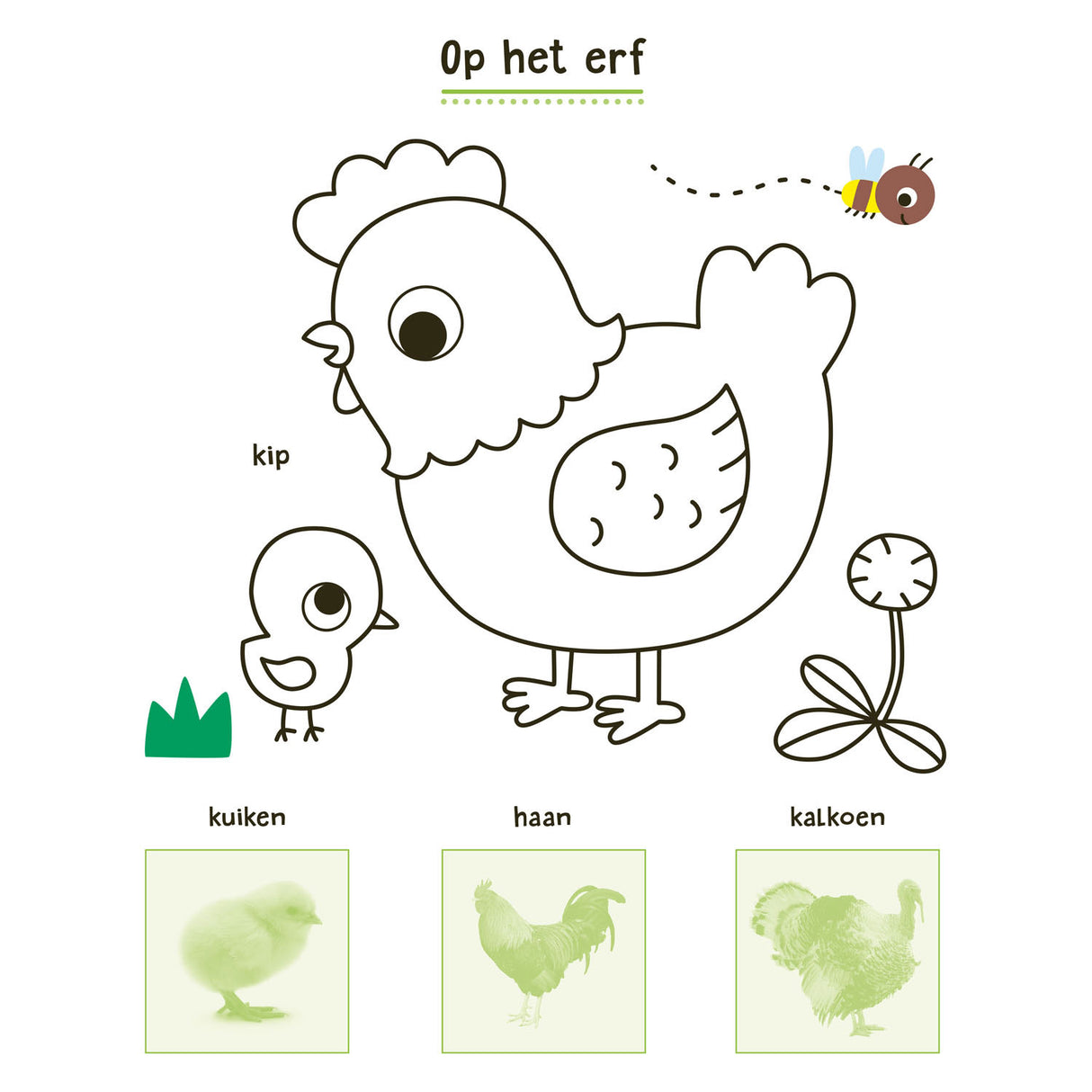 Deltas my animal sticker book