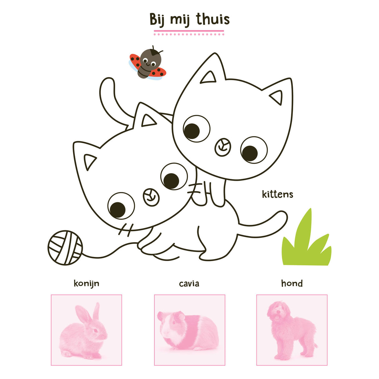 Deltas my animal sticker book