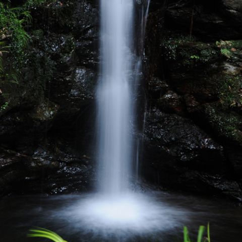 Marumi pilkos spalvos filtras DHG ND8 67 mm