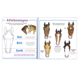 I Learn to Draw Horses