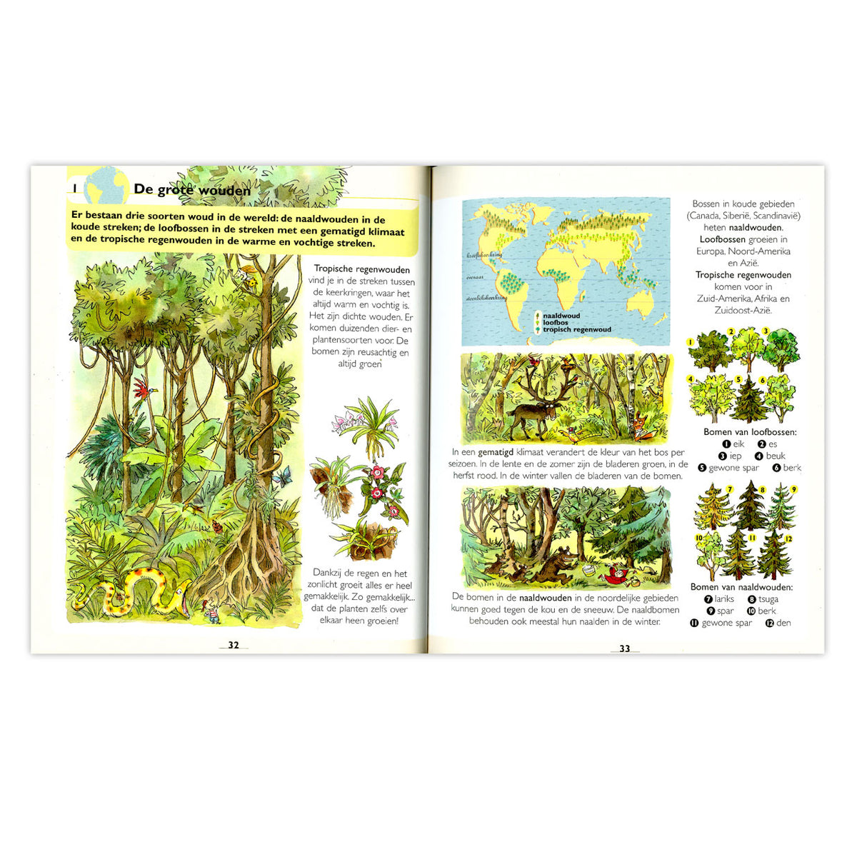 Første store atlas for børn