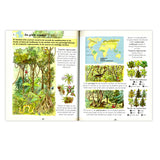 Første store atlas for børn