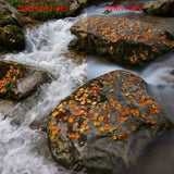 Filtr szarego Marumi Super DHG ND500 62 mm