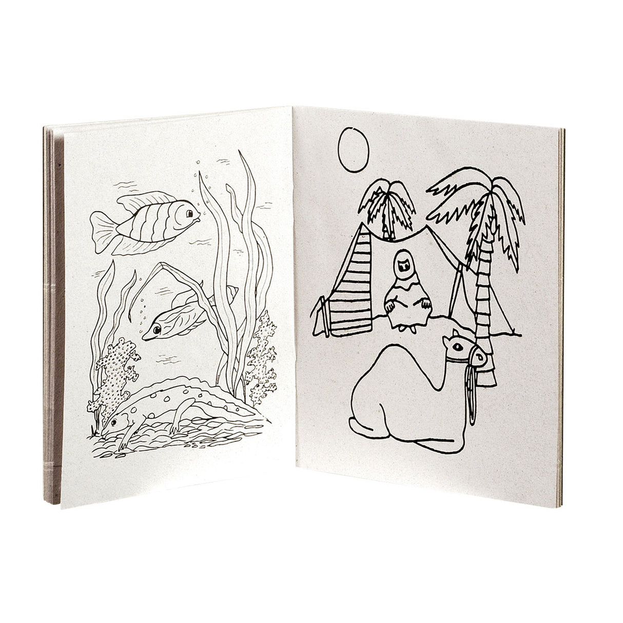 Bokspecialer Nederland BV Colorbook A6