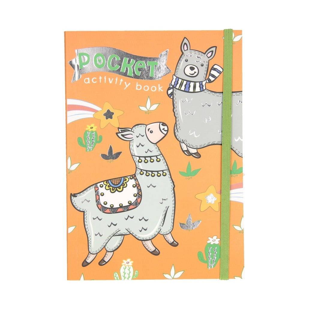 Taschenfarbenspiele Buch